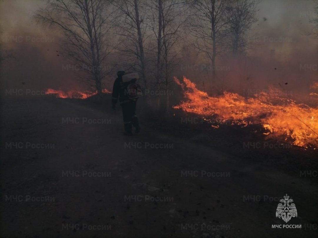 Пожар, Меленковский район, у д. Елино